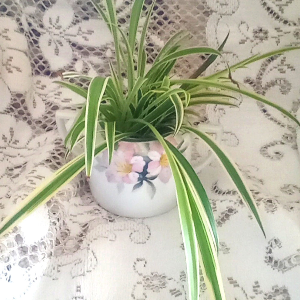 Hand painted Nippon sugar bowl with airplane plants